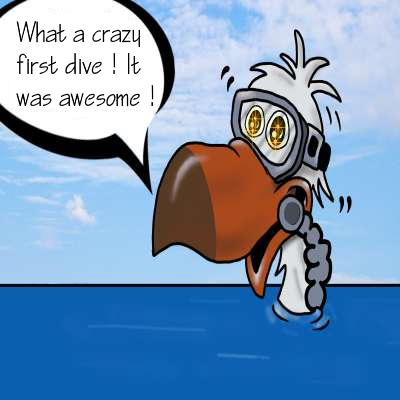 First Dive ! Diving in Reunion | Tourism in Reunion